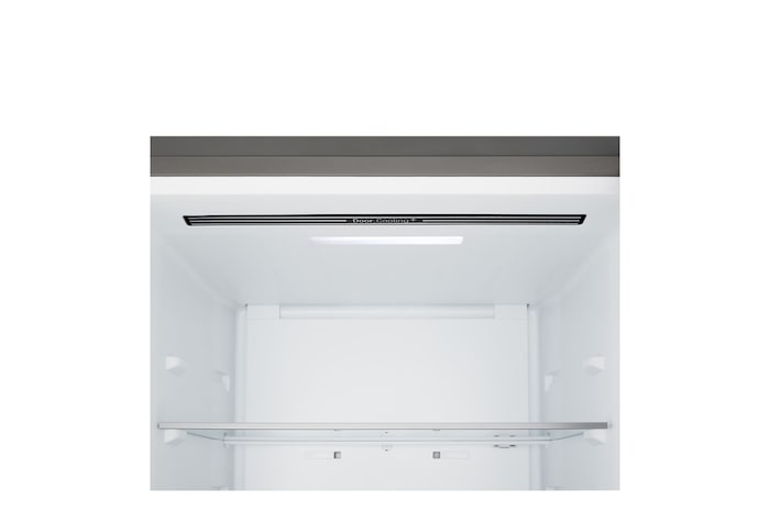 Interno frigorifero combinato GBBSJ10DPY